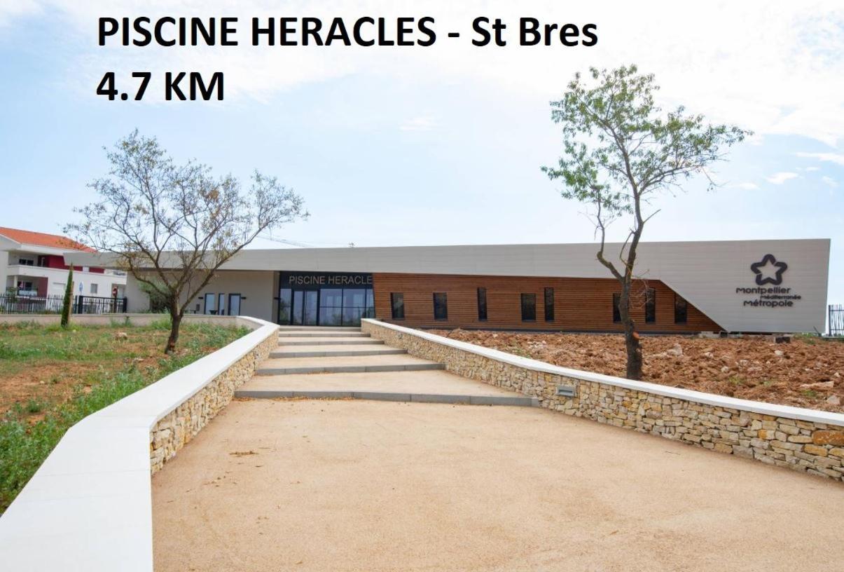 Secret Garden - Chez Gilles Et Tra - Maison D Hote -T2 Super Mignon, Neuf Et Independant , Dans Cadre Agreable Et Zen Valergues Εξωτερικό φωτογραφία