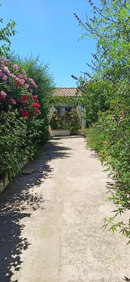 Secret Garden - Chez Gilles Et Tra - Maison D Hote -T2 Super Mignon, Neuf Et Independant , Dans Cadre Agreable Et Zen Valergues Εξωτερικό φωτογραφία